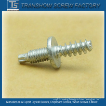 Double Threaded Torx Head Screw